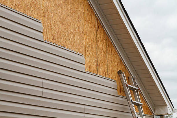 Professional Siding Repair technician working in Oldsmar, FL